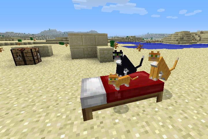 Chats assis sur un lit dans Minecraft