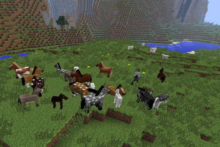 Un troupeau de chevaux sauvages dans Minecraft