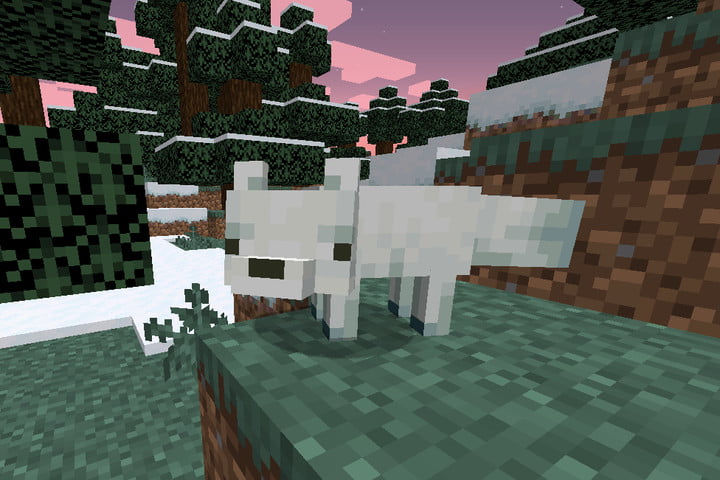 Un renard des neiges dans Minecraft